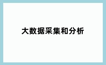 大数据采集和分析