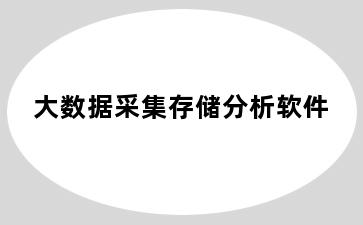 大数据采集存储分析软件