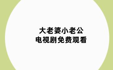 大老婆小老公电视剧免费观看