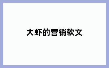 大虾的营销软文