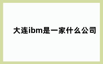 大连ibm是一家什么公司