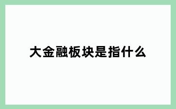 大金融板块是指什么