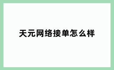 天元网络接单怎么样