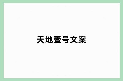 天地壹号文案