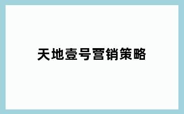 天地壹号营销策略