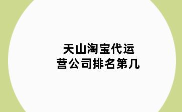 天山淘宝代运营公司排名第几