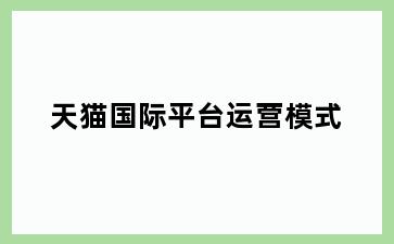 天猫国际平台运营模式