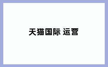 天猫国际 运营