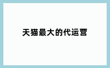 天猫最大的代运营