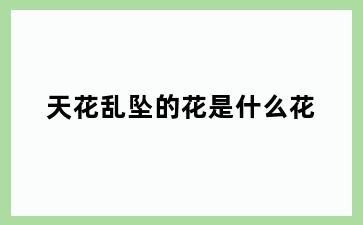 天花乱坠的花是什么花
