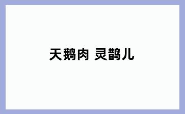 天鹅肉 灵鹊儿