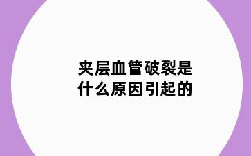 夹层血管破裂是什么原因引起的