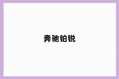 奔驰铂锐