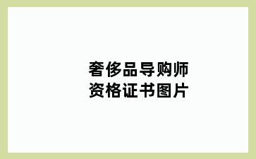 奢侈品导购师资格证书图片