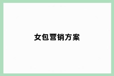 女包营销方案