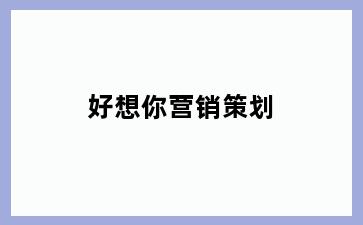 好想你营销策划