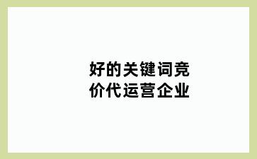 好的关键词竞价代运营企业