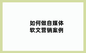 如何做自媒体软文营销案例