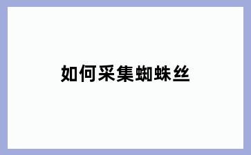 如何采集蜘蛛丝