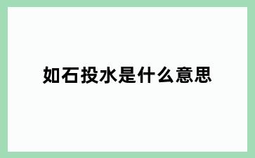 如石投水是什么意思