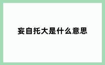 妄自托大是什么意思