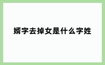 婿字去掉女是什么字姓