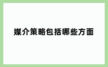 媒介策略包括哪些方面