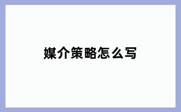 媒介策略怎么写