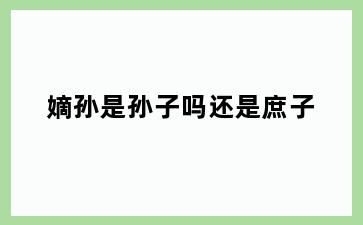 嫡孙是孙子吗还是庶子