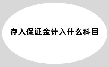 存入保证金计入什么科目