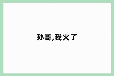 孙哥,我火了