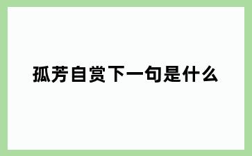 孤芳自赏下一句是什么