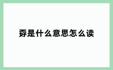 孬是什么意思怎么读