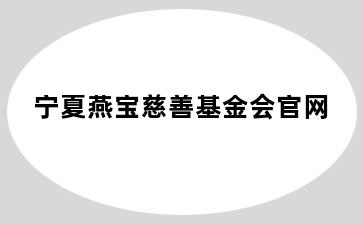 宁夏燕宝慈善基金会官网