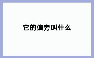 它的偏旁叫什么