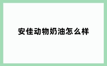 安佳动物奶油怎么样