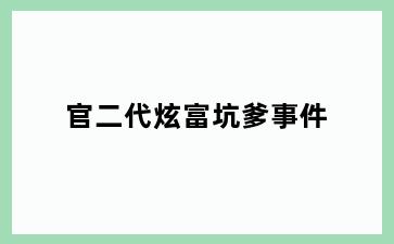 官二代炫富坑爹事件