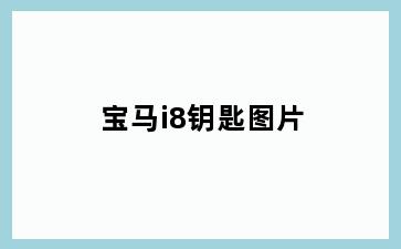 宝马i8钥匙图片