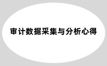 审计数据采集与分析心得