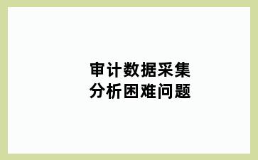 审计数据采集分析困难问题