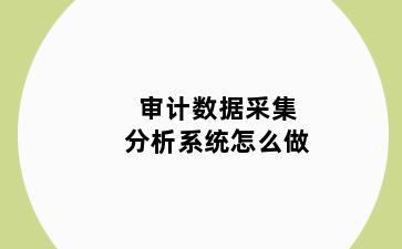 审计数据采集分析系统怎么做