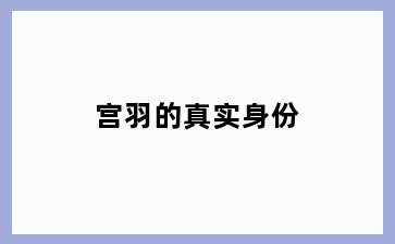 宫羽的真实身份
