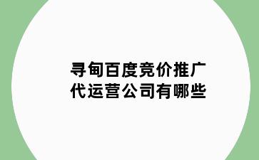 寻甸百度竞价推广代运营公司有哪些