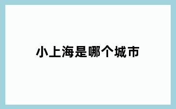 小上海是哪个城市
