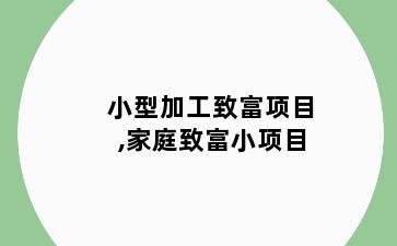 小型加工致富项目,家庭致富小项目