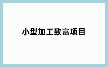 小型加工致富项目
