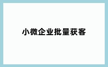小微企业批量获客
