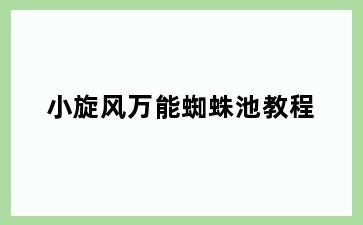小旋风万能蜘蛛池教程