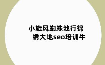 小旋风蜘蛛池行锦绣大地seo培训牛
