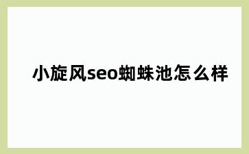 小旋风seo蜘蛛池怎么样